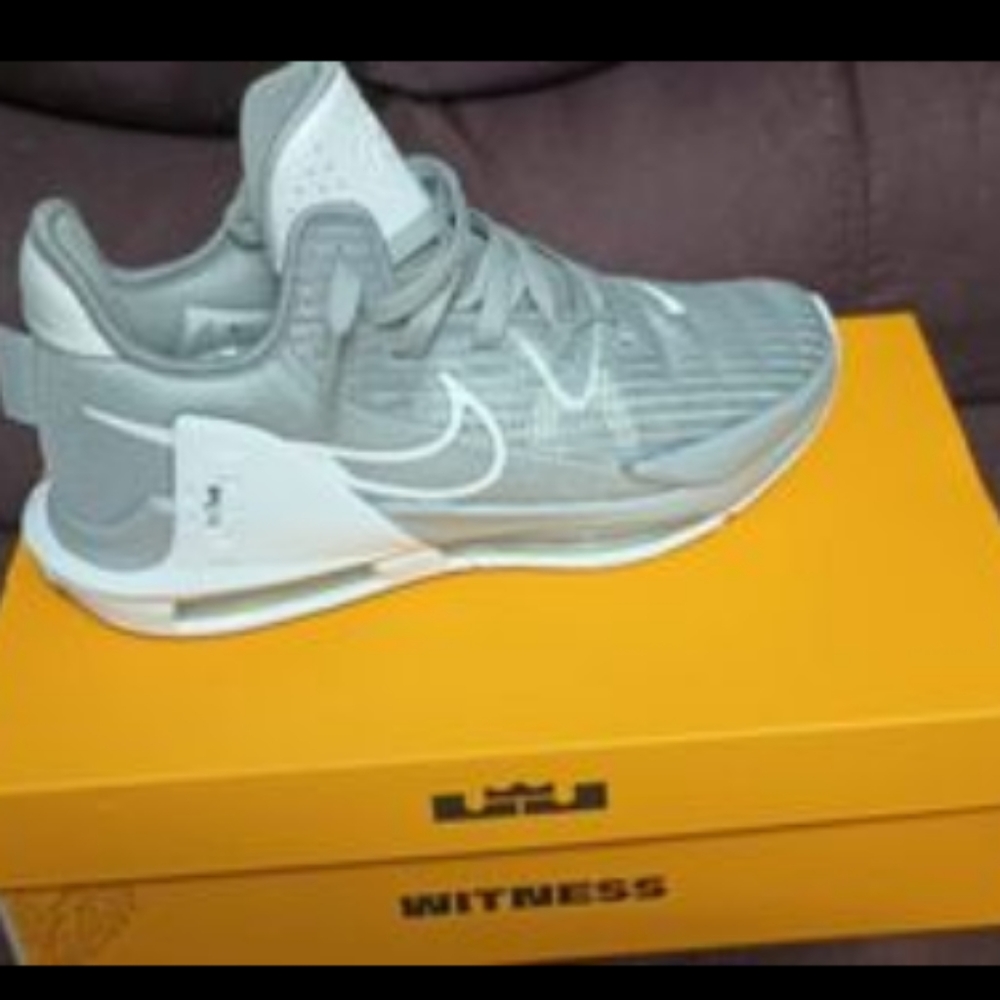 LeBron James size 8 1/2